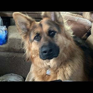 Meet your Posher, S louise